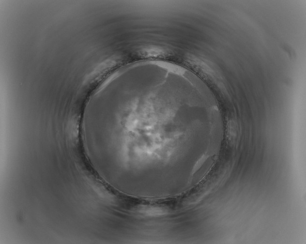 X0000114110545200910191705