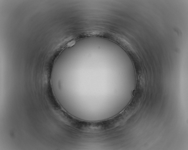 X0000114110546200910191705