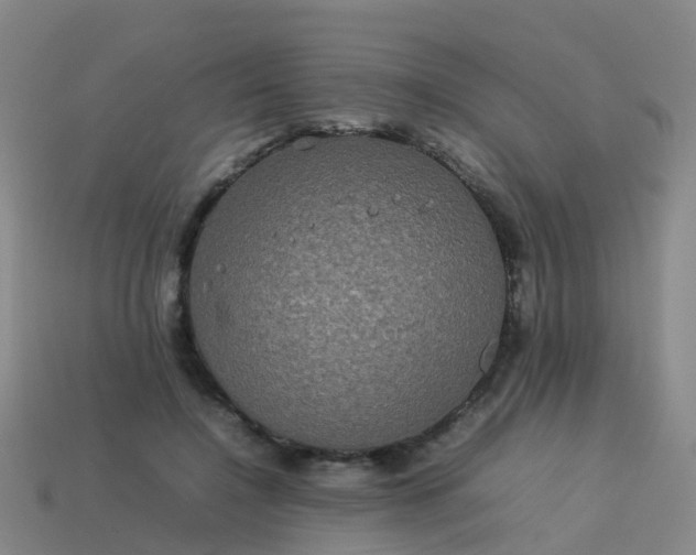 X0000114110548200910191705