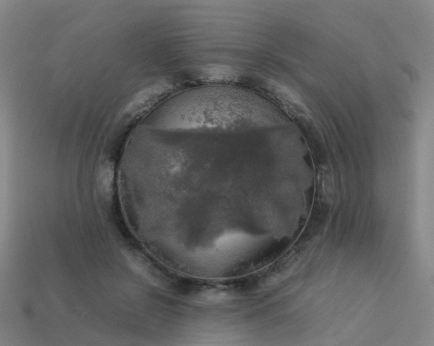 X0000114110550200910191705