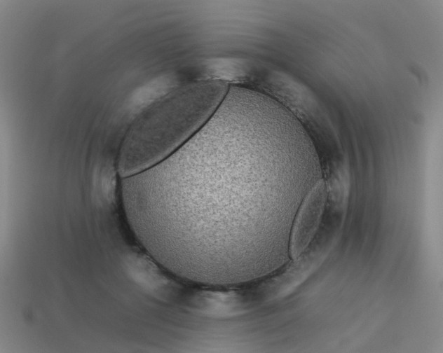 X0000114110552200910191705