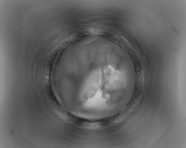 X0000114110553200910191705