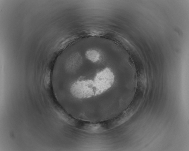 X0000114110554200910191705