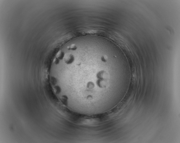 X0000114110555200910191705