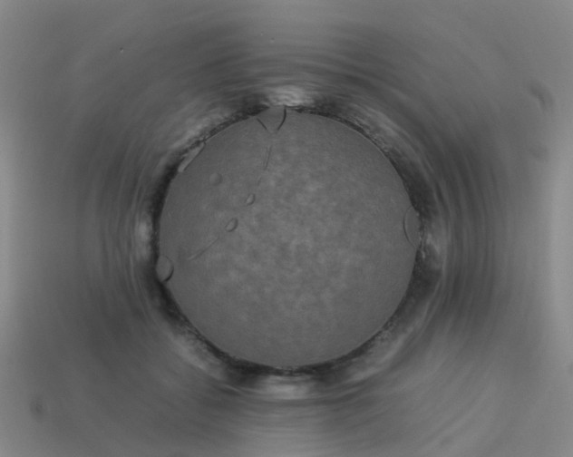 X0000114110556200910191705