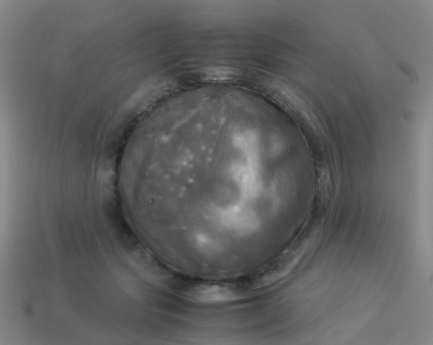 X0000114110557200910191705