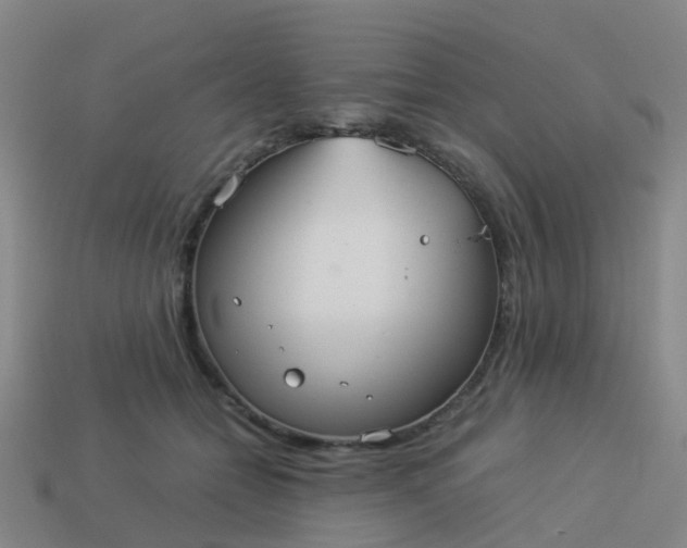 X0000114110558200910191705