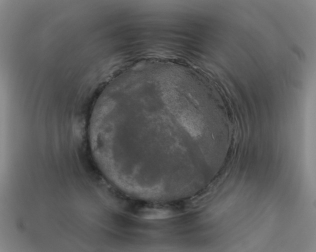 X0000114110559200910191705