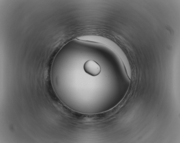 X0000114110560200910191705