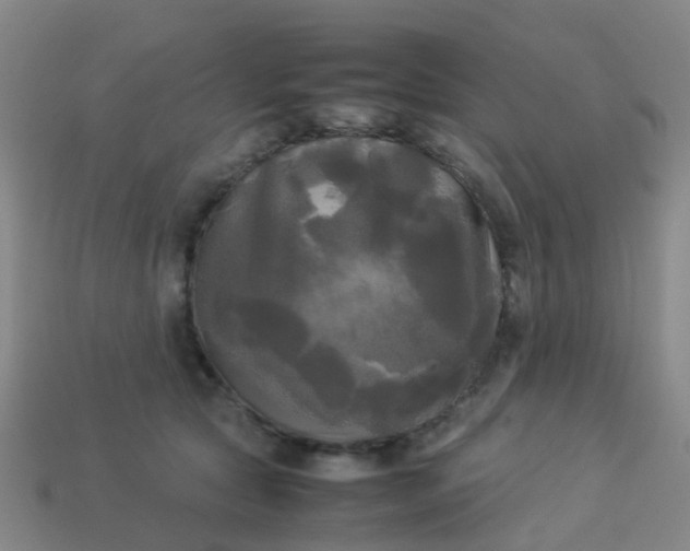 X0000114110561200910191705