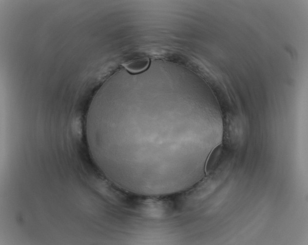 X0000114110562200910191705