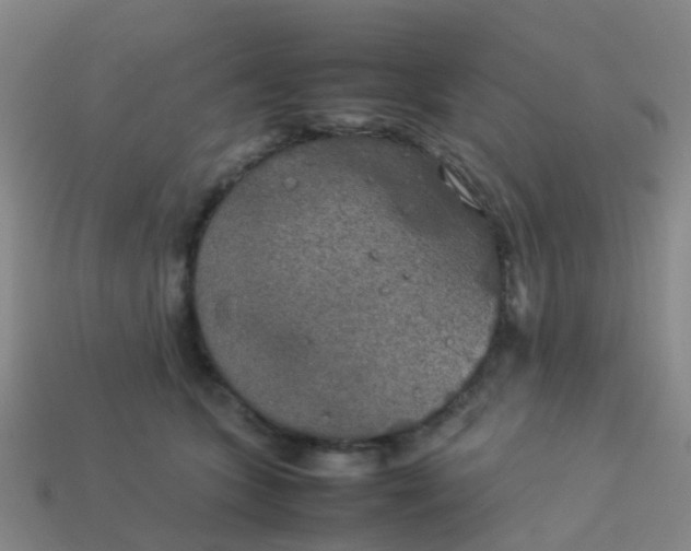 X0000114110563200910191705