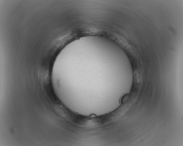 X0000114110564200910191705