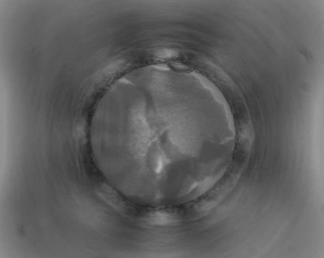 X0000114110565200910191705