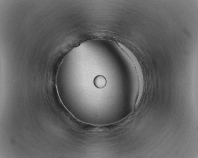 X0000114110566200910191705