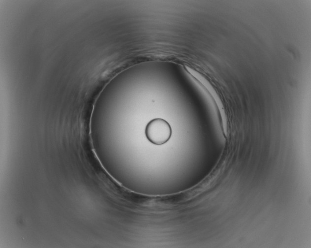 X0000114110568200910191705