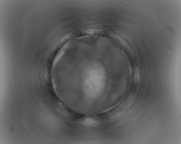 X0000114110569200910191705