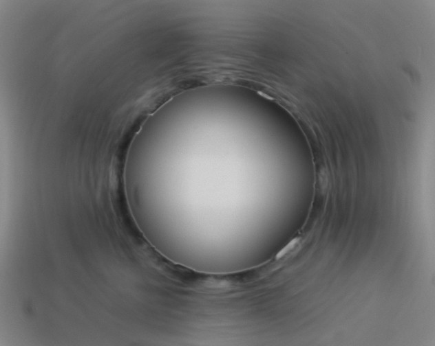 X0000114110570200910191705