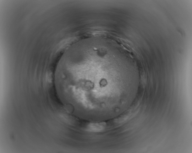 X0000114110571200910191705