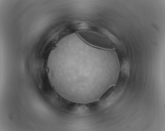 X0000114110572200910191705