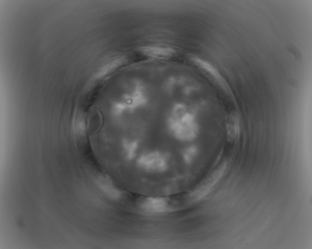 X0000114110573200910191705