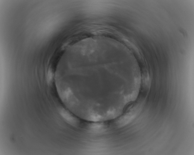 X0000114110574200910191705