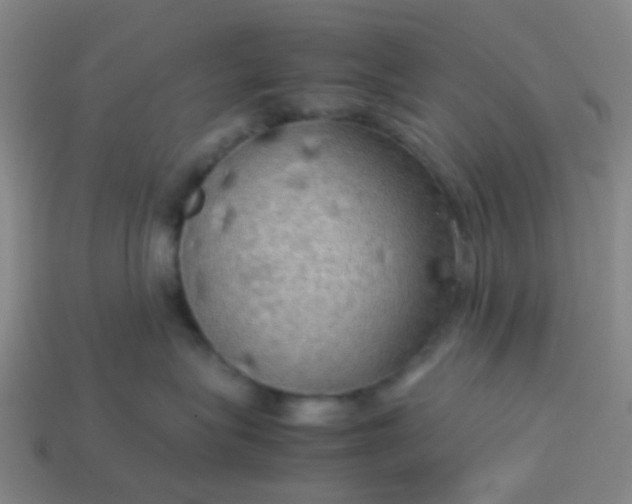 X0000114110575200910191705