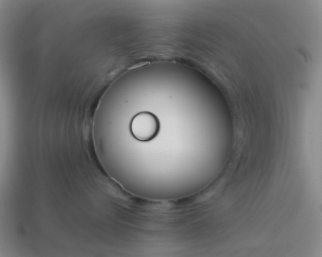 X0000114110576200910191705