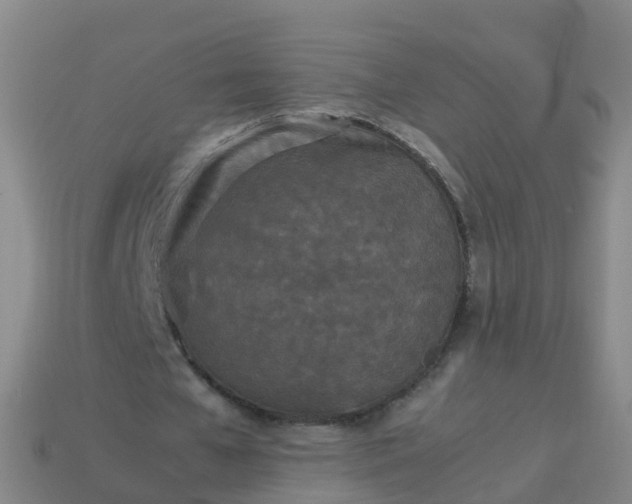 X0000114110577200910191704