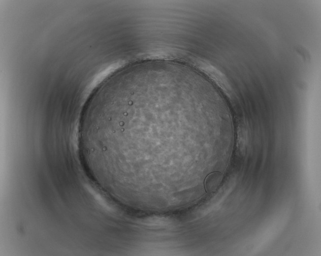 X0000114110578200910191704