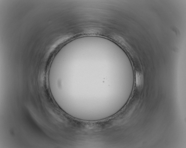 X0000114110579200910191704