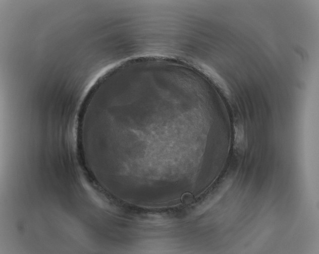 X0000114110580200910191704