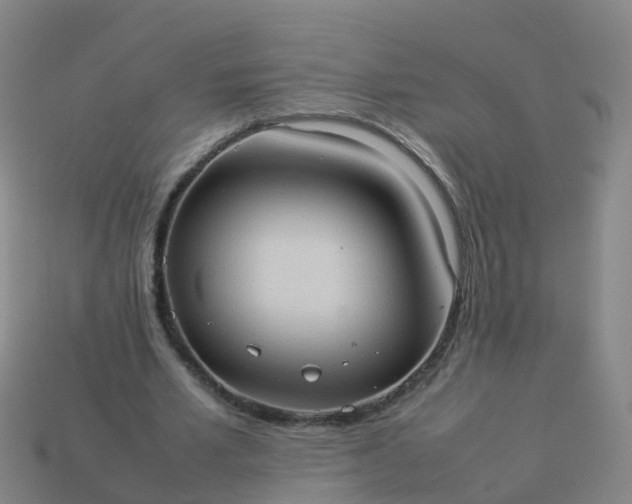 X0000114110581200910191704