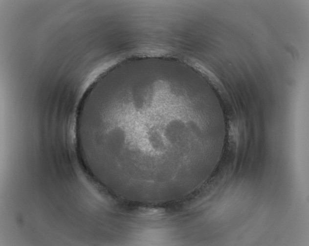 X0000114110582200910191704