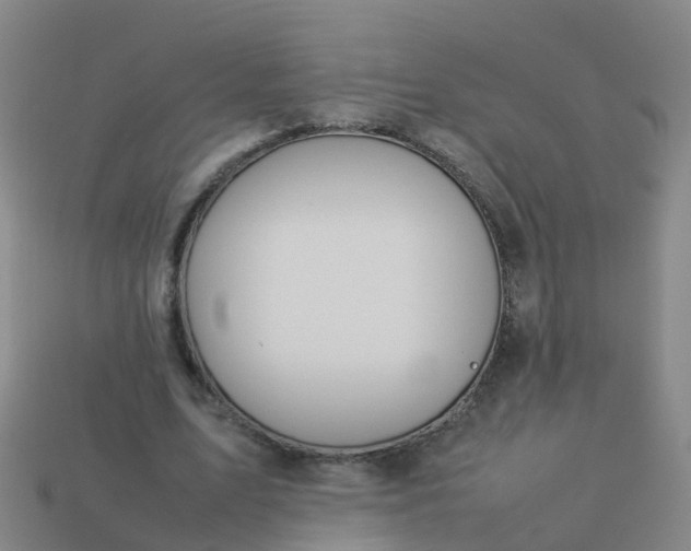 X0000114110583200910191704