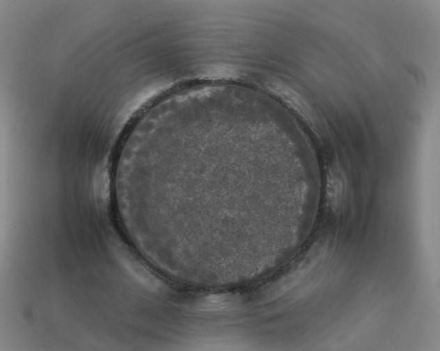 X0000114110584200910191704