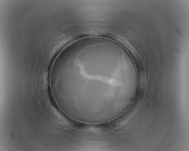 X0000114110585200910191704