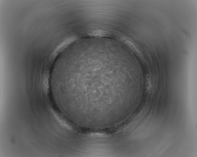 X0000114110586200910191704