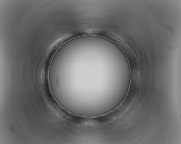 X0000114110587200910191704