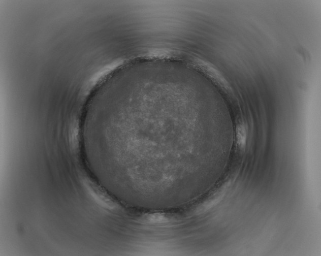 X0000114110588200910191704