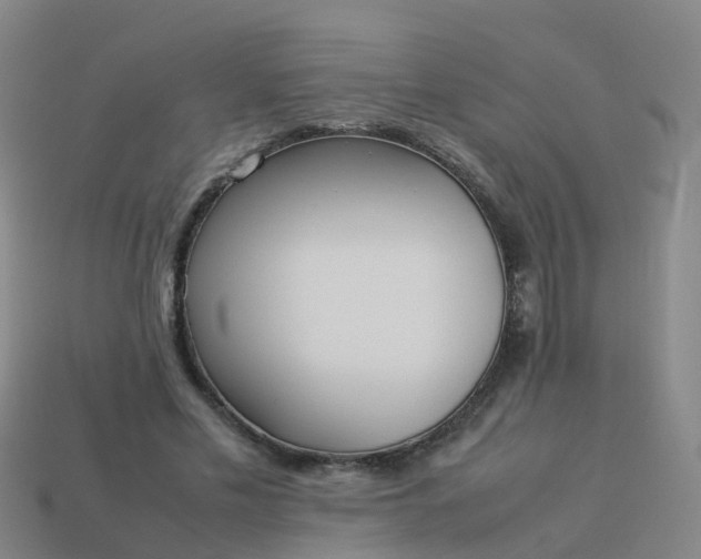 X0000114110589200910191704