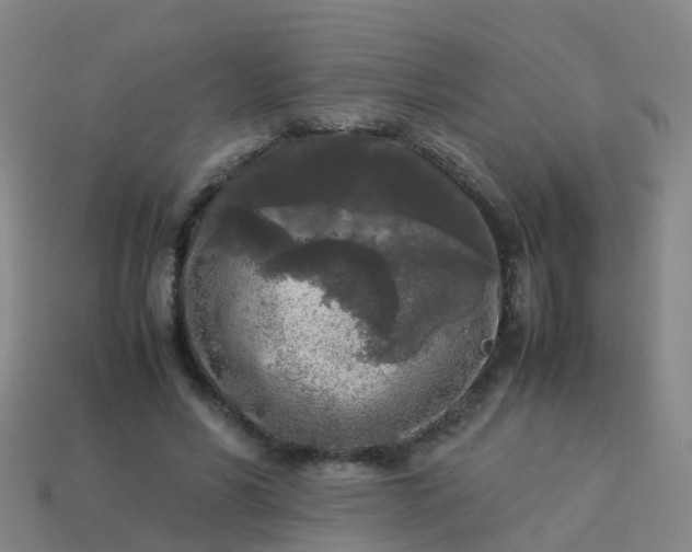 X0000114110590200910191704