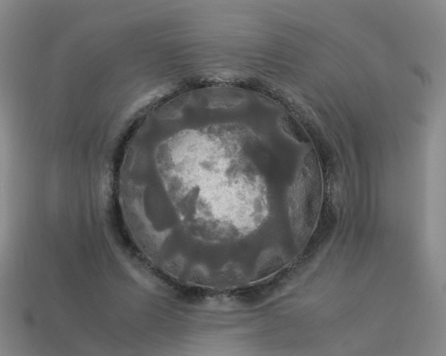 X0000114110591200910191704