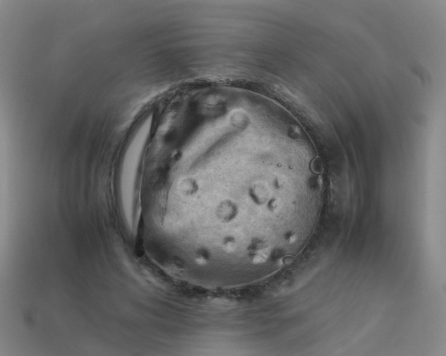 X0000114110592200910191704