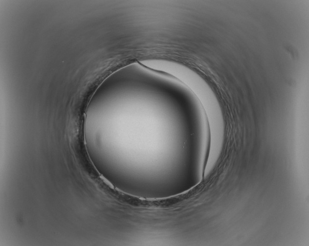 X0000114110593200910191704