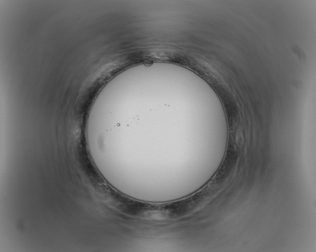 X0000114110595200910191704