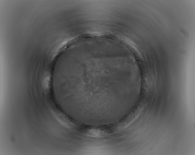 X0000114110596200910191704