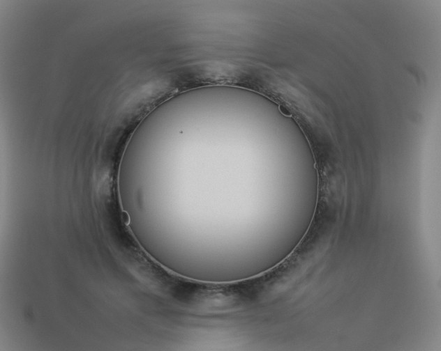 X0000114110597200910191704