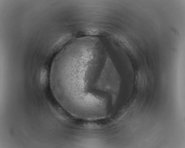 X0000114110598200910191704