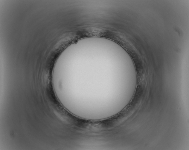 X0000114110599200910191704